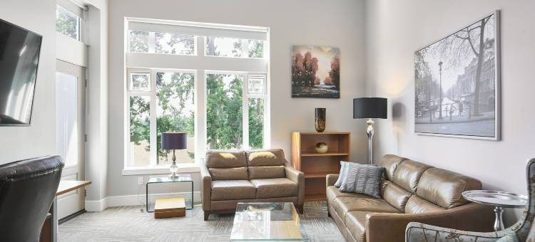 索罗套房酒店(SoLo Suites)图片