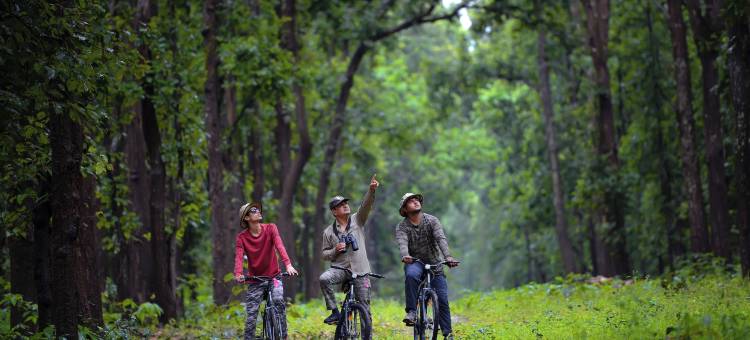 卡纳阿尔亚纳克度假村(Aranyak Resort Kanha)图片