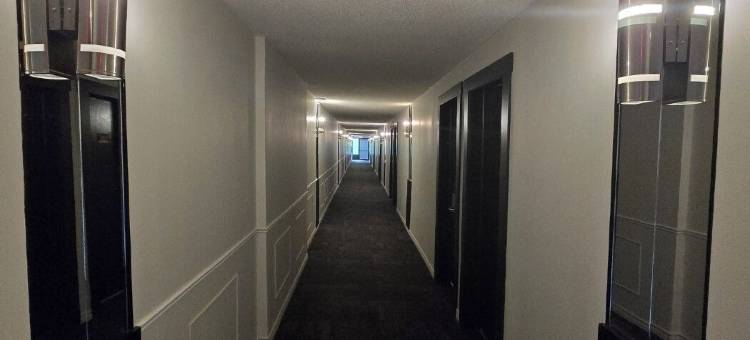 蒙克顿酒店(Hotel Moncton)图片