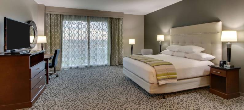 达拉斯理查森德鲁里广场酒店(Drury Plaza Hotel Dallas Richardson)图片