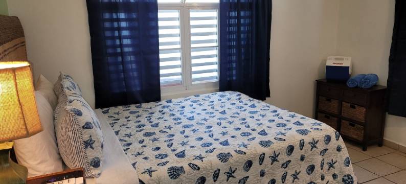 珊瑚别墅旅馆(Villa Coral Guesthouse)图片