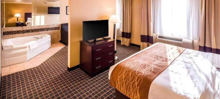 甘尼森克雷斯特德比特舒适套房酒店(Comfort Inn & Suites Gunnison-Crested Butte)图片