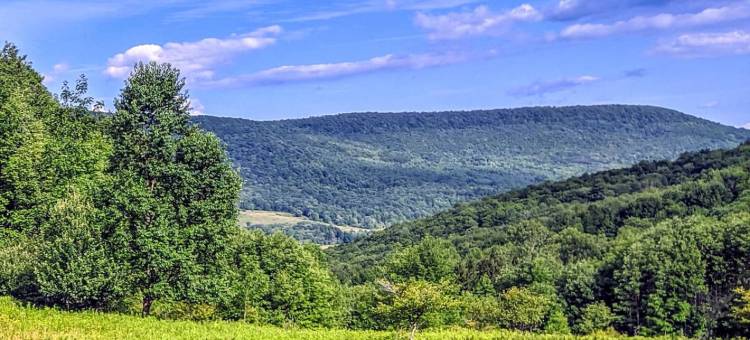 Luxurious Contemporary Farmhouse Oasis - Stunning Mountain View图片