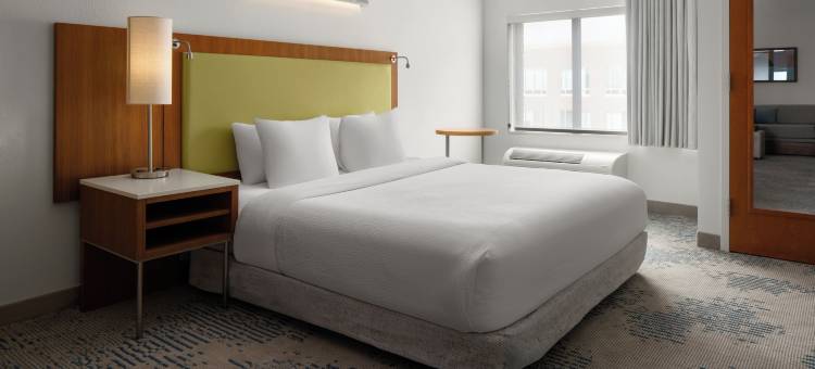 查尔斯顿芒特普莱森特万豪SpringHill Suites酒店(SpringHill Suites Charleston Mount Pleasant)图片