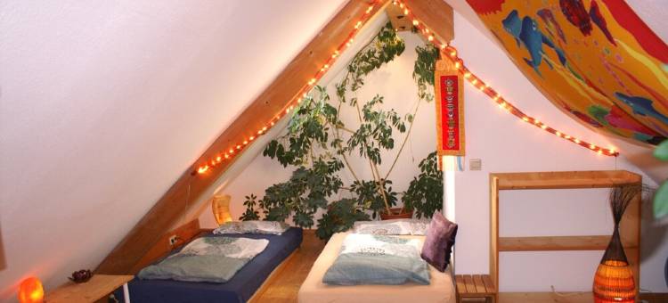 Llama and Maine Coon farm in sunny  and secluded location in Biederbach 3 rooms图片