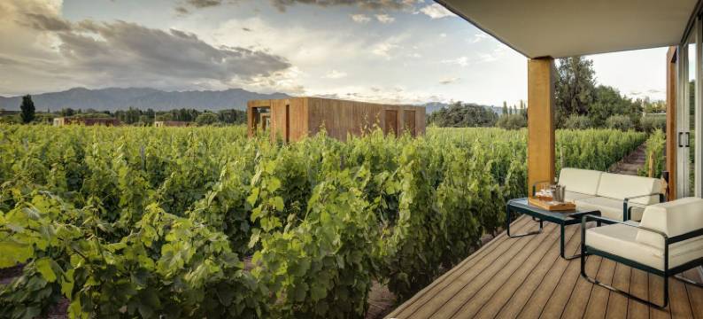 天空之间葡萄酒与健康酒店(Entre Cielos Wine & Wellness Hotel)图片