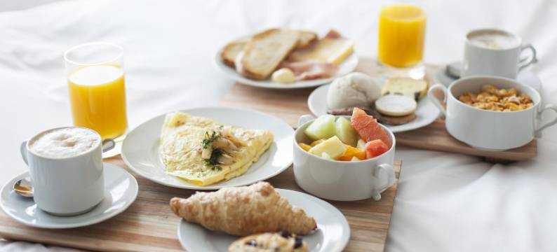 里勒杜索塞酒店(Hôtel l'Ile du Saussay)图片