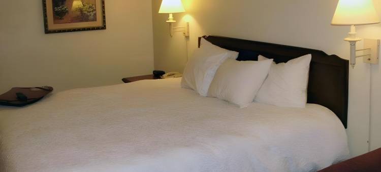 瑟西 I-67 凯艺套房酒店(Quality Inn & Suites Searcy I-67)图片