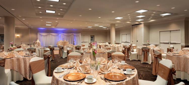 华盛顿·杜勒斯机场假日酒店(Holiday Inn Washington-Dulles Intl Airport)图片