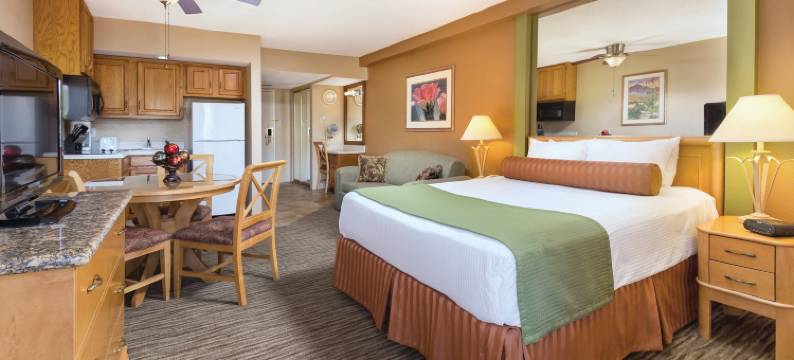 WorldMark广场度假村及水疗中心(WorldMark Palm Springs - Plaza Resort and Spa)图片