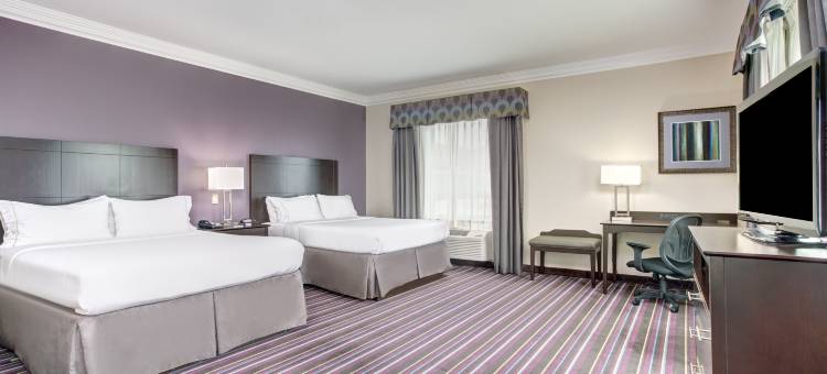 Holiday Inn Express & Suites RACELAND - 公路90 by IHG(Holiday Inn Express & Suites Raceland - Highway 90)图片