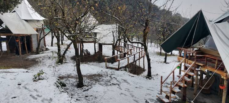 橡树景露营地(Camp Oak View)图片