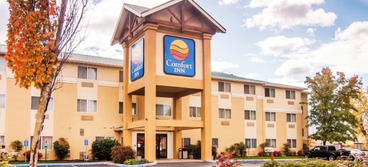 梅德福南舒适酒店(Comfort Inn Medford South)图片