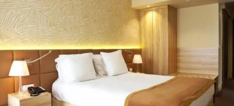 金色郁金香亚维侬乐天堂(Golden Tulip Avignon le Paradou)图片