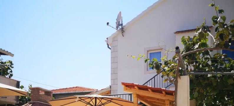 公寓Natasa -(Apartments Nataša)图片