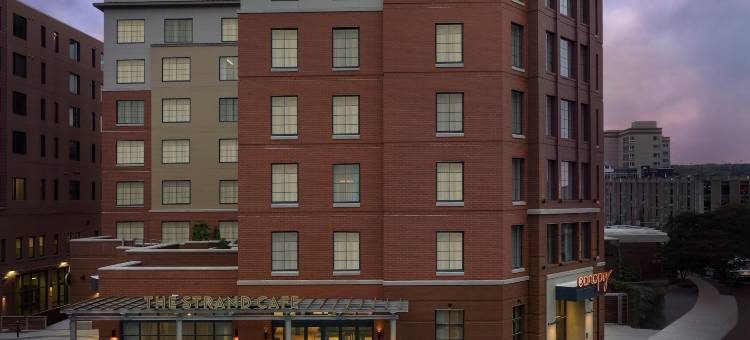 伊萨卡市中心希尔顿嘉悦里酒店(Canopy by Hilton Ithaca Downtown)图片