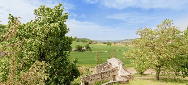 Cottage in Wine Country图片