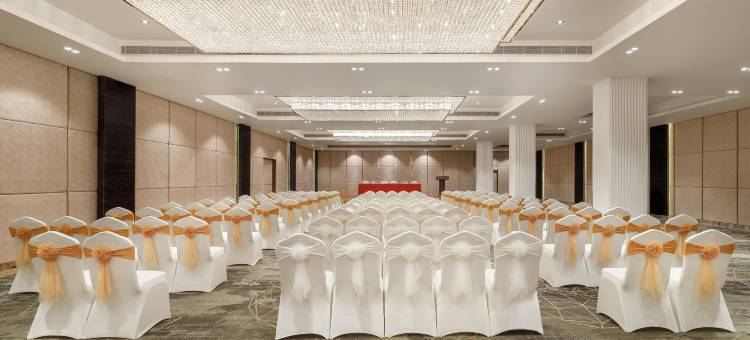 皇家郁金香加德满都(Royal Tulip Kathmandu)图片