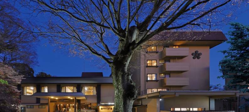 筑波山江户屋(Tsukubasan Onsen Edoya)图片