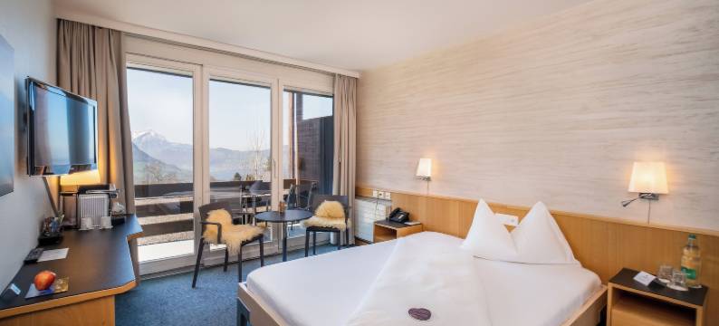 西布里克霍恩酒店(Seeblick Höhenhotel)图片