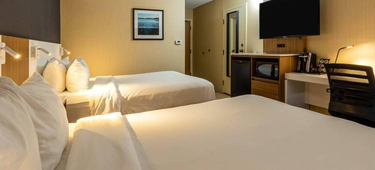 舒适酒店(Comfort Inn)图片