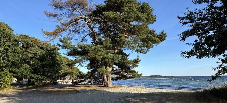 哈勒维克斯海滩小屋(Hälleviks Strandstugor)图片
