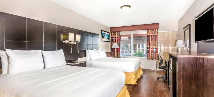 伊克诺旅馆套房酒店(Econo Lodge Inn & Suites)图片