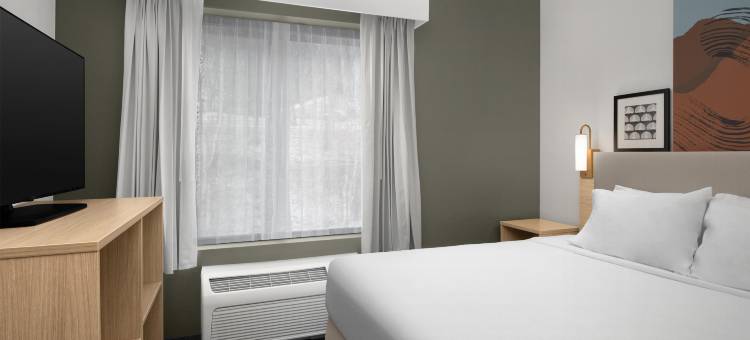 希尔顿维斯塔尔宾厄姆顿大学区Spark(Spark by Hilton Vestal Binghamton University Area)图片