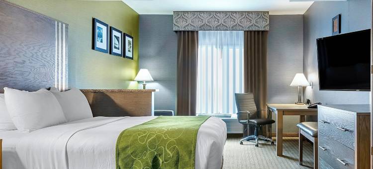 底特律绍斯盖特舒适套房(Comfort Suites Southgate-Detroit)图片