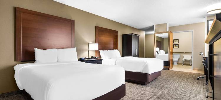 埃文斯维尔东舒适酒店(Comfort Inn Evansville East)图片