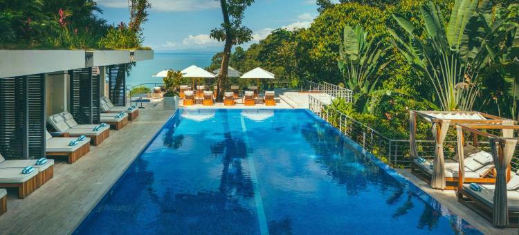 洛斯奥托斯度假村(Los Altos Resort)图片