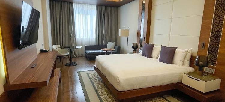 阿尔及尔巴布埃祖瓦尔万豪酒店(Algiers Marriott Hotel Bab Ezzouar)图片