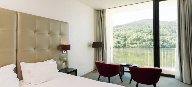 杜罗河谷皇家酒店&Spa(Douro Royal Valley Hotel & Spa)图片
