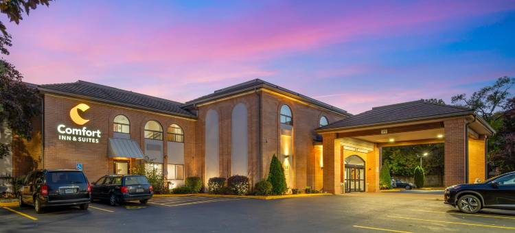 曼德林 - 弗农希尔斯舒适套房酒店(Comfort Inn & Suites Mundelein-Vernon Hills)图片