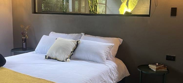 带森林景观的套房公寓(apartasuite con vista al bosque)图片