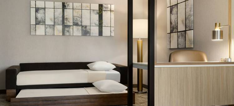 伊斯顿SpringHill Suites 酒店(SpringHill Suites Easton PA)图片