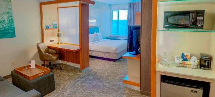 梅肯SpringHill Suites酒店(SpringHill Suites Macon)图片