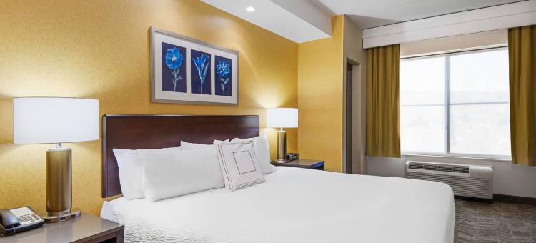 惠灵特瑞阿德尔福亚地区万豪SpringHill酒店(SpringHill Suites Wheeling Triadelphia Area)图片