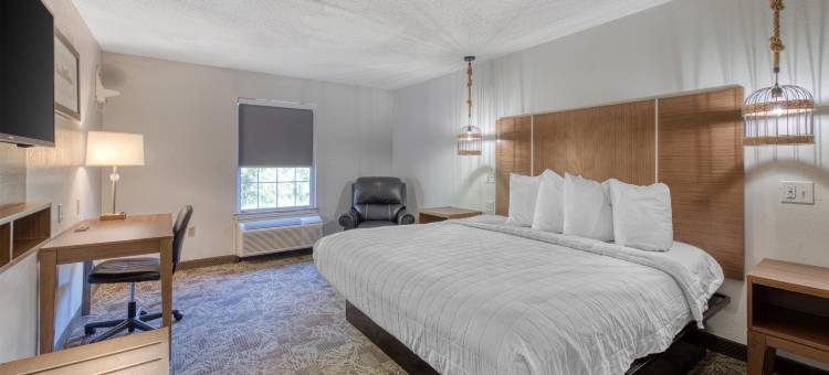 塔斯卡卢萨东南贝斯特韦斯特SureStay酒店(SureStay Hotel by Best Western Tuscaloosa Southeast)图片