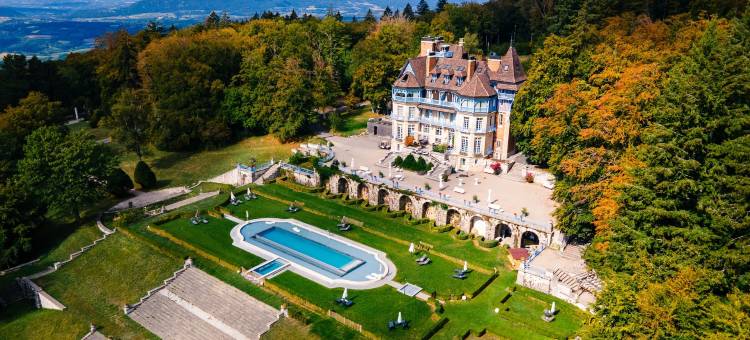 阿维尼耶尔城堡酒店(Château des Avenieres)图片