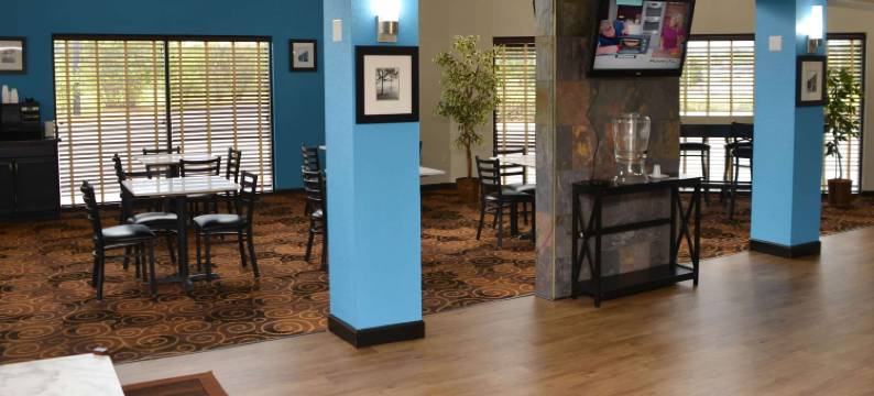 桑蒂温德姆呗盟酒店(Baymont by Wyndham Santee)图片