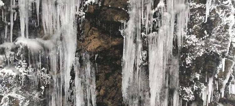 连州田园假日酒店图片