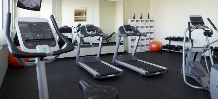 Holiday Inn & Suites 蒙特利尔机场(Holiday Inn & Suites Montreal Airport)图片