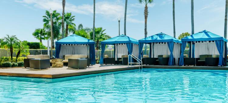 奥兰多机场希尔顿逸林酒店(DoubleTree by Hilton Orlando Airport Hotel)图片