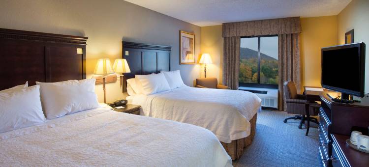 希尔顿欢朋酒店-贝宁顿(Hampton Inn Bennington)图片