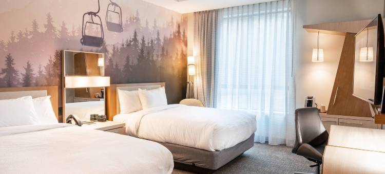 盐湖城卡顿伍德万怡酒店(Courtyard Salt Lake City Cottonwood)图片