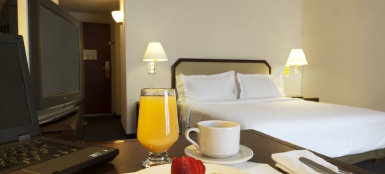 托卢卡特罗肯嘉年华酒店(Fiesta Inn Toluca Tollocan)图片