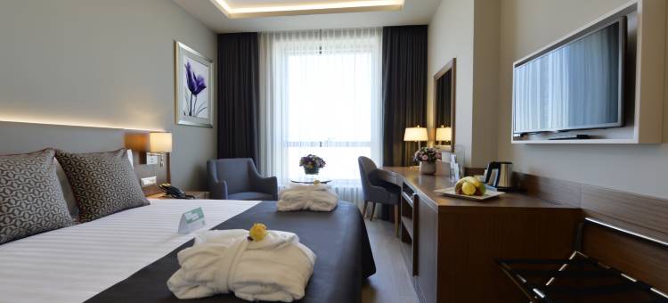 布尔萨市中心假日酒店(Holiday Inn Bursa - City Centre)图片