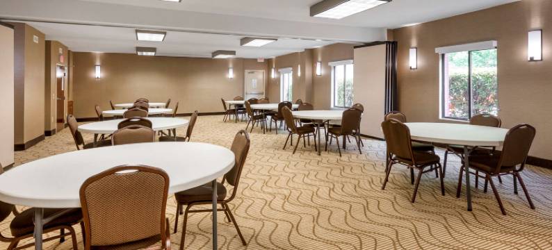 舒适酒店及套房坎顿河石区域(Comfort Inn & Suites Canton Riverstone Area)图片