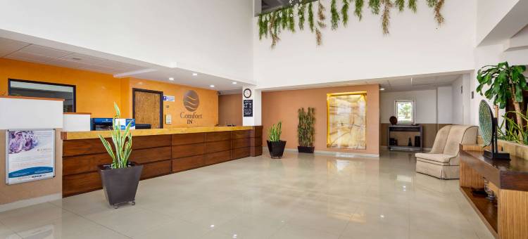 舒适酒店-奇瓦瓦(Comfort Inn Chihuahua)图片